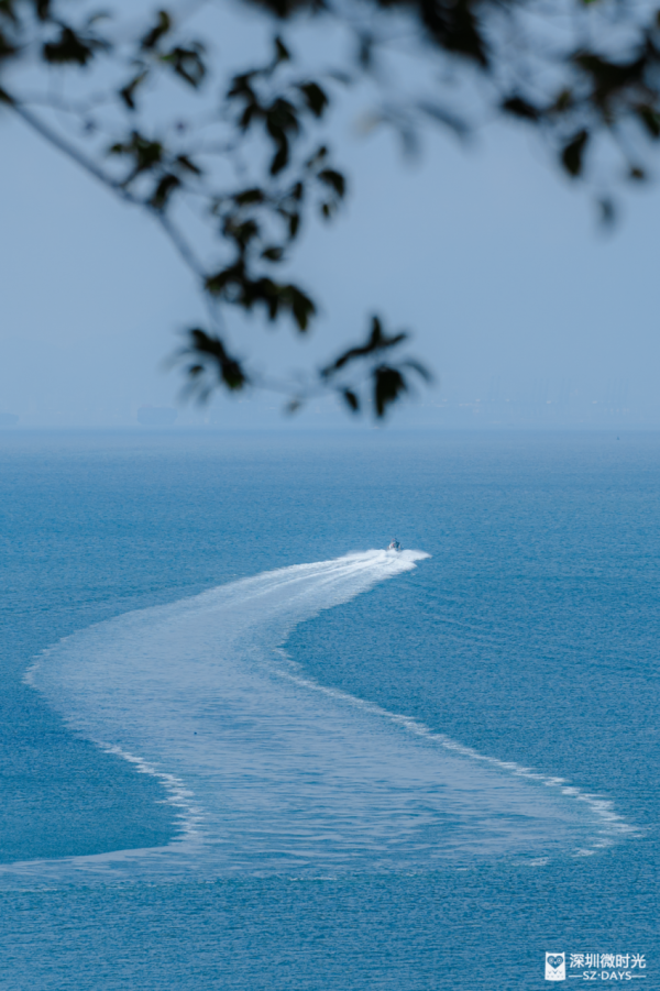 深圳版「釜山膠囊列車」每程10元！天使灣一日遊飽覽玻璃海 附最佳打卡時間 