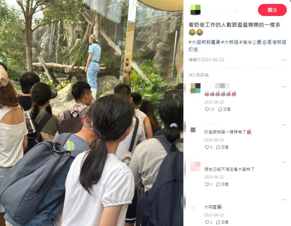 香港熊貓奶爸爆紅！海洋公園「網紅奶爸」分享湊大熊貓經 網民讚有愛