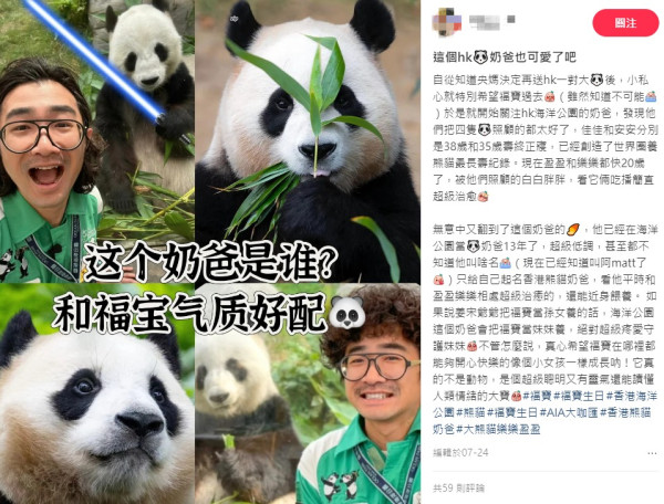 香港熊貓奶爸爆紅！海洋公園「網紅奶爸」分享湊大熊貓經 網民讚有愛