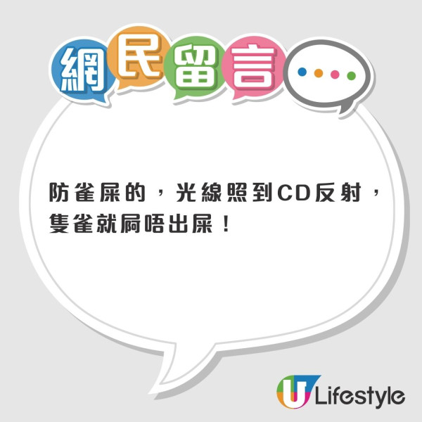 單車男悠哉霸路踩上屯公 無懼巴士急速駛過 網民斥「大地任我行」