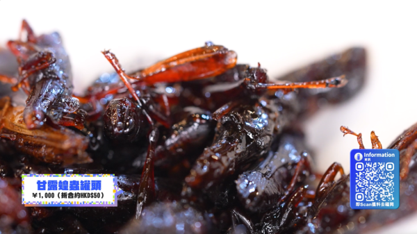 《解風福岡》行程懶人包｜杜如風帶隊遊福岡 必食餐廳/打卡景點/酒店推介 