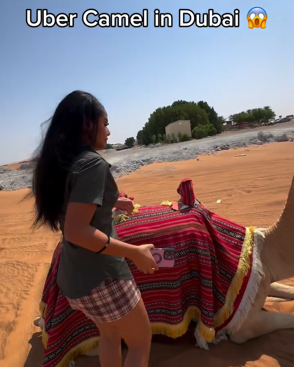 兩女子於杜拜沙漠迷路 竟成功召喚「Uber駱駝」脫困 網民質疑:後面就是公路