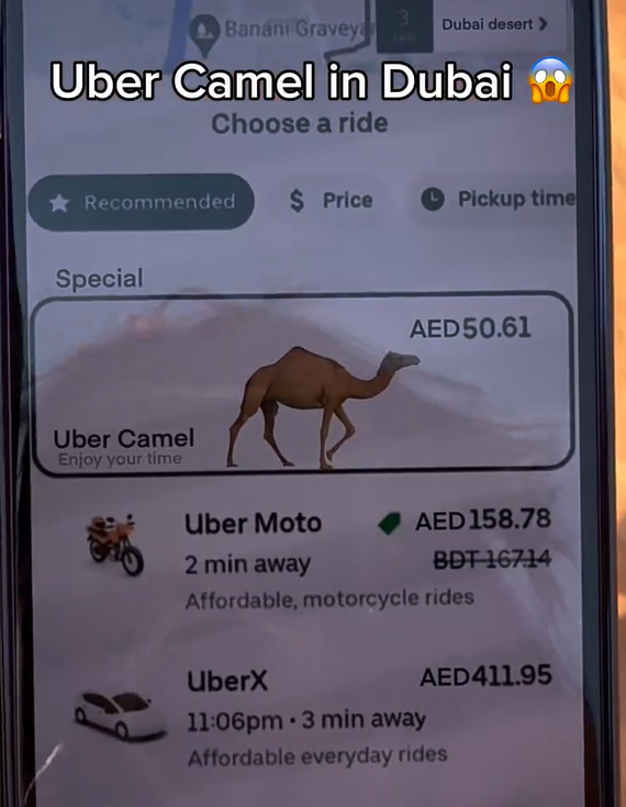 兩女子於杜拜沙漠迷路 竟成功召喚「Uber駱駝」脫困 網民質疑:後面就是公路