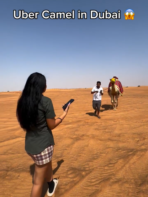 兩女子於杜拜沙漠迷路 竟成功召喚「Uber駱駝」脫困 網民質疑:後面就是公路