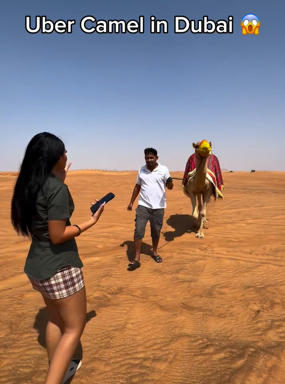 兩女子於杜拜沙漠迷路 竟成功召喚「Uber駱駝」脫困 網民質疑:後面就是公路