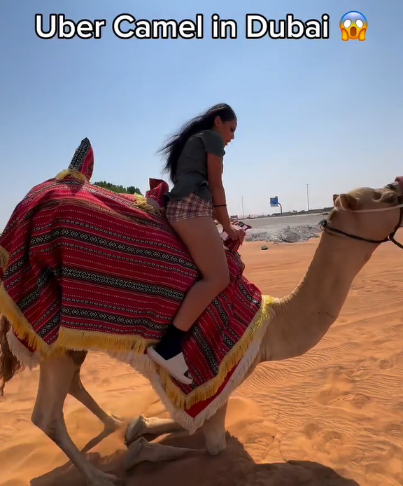 兩女子於杜拜沙漠迷路 竟成功召喚「Uber駱駝」脫困 網民質疑:後面就是公路