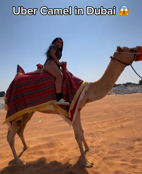 兩女子於杜拜沙漠迷路 竟成功召喚「Uber駱駝」脫困 網民質疑:後面就是公路