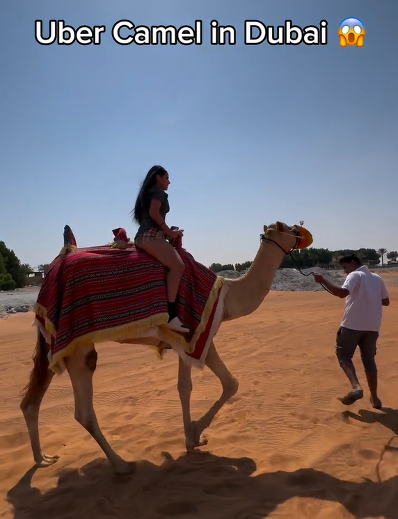 兩女子於杜拜沙漠迷路 竟成功召喚「Uber駱駝」脫困 網民質疑:後面就是公路