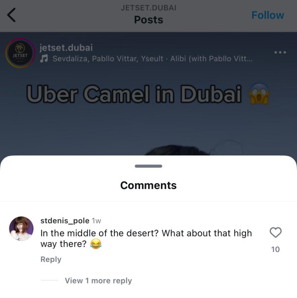 兩女子於杜拜沙漠迷路 竟成功召喚「Uber駱駝」脫困 網民質疑:後面就是公路