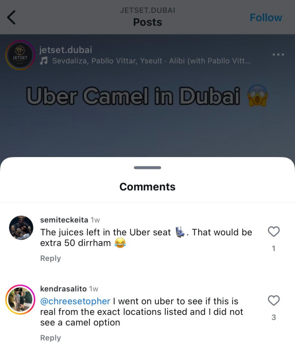 兩女子於杜拜沙漠迷路 竟成功召喚「Uber駱駝」脫困 網民質疑:後面就是公路