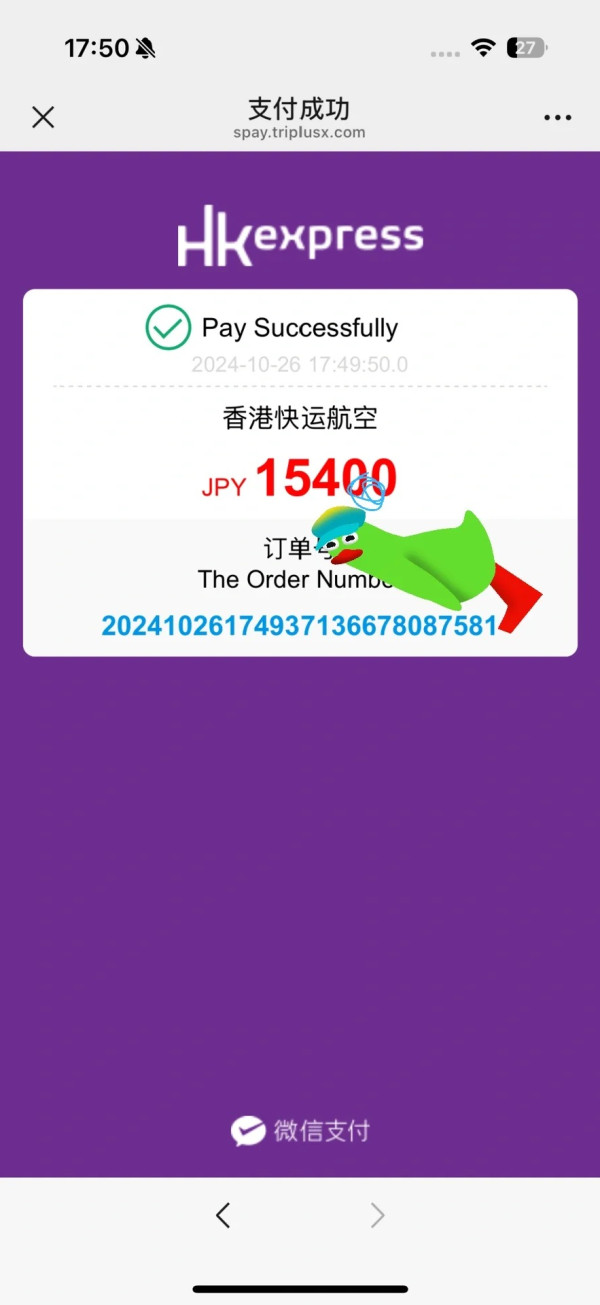 內地女攜電篋搭香港廉航 大呻被罰過萬日圓/飛機4小時都在抖：以為自己要死了 