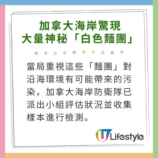 荷蘭運河發現1物極似巨大「異形蛋」 生態學家揭曉其真身！ 