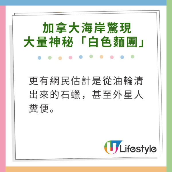 荷蘭運河發現1物極似巨大「異形蛋」 生態學家揭曉其真身！ 