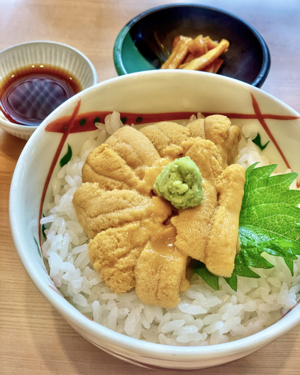 北海道自由行不開車也輕鬆玩！15大景點/交通/美食/手信/住宿攻略 