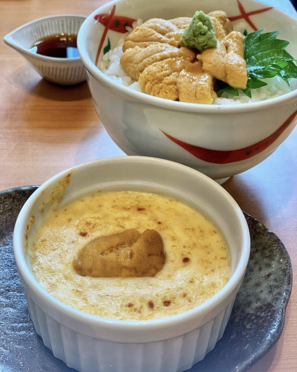 北海道自由行不開車也輕鬆玩！15大景點/交通/美食/手信/住宿攻略 