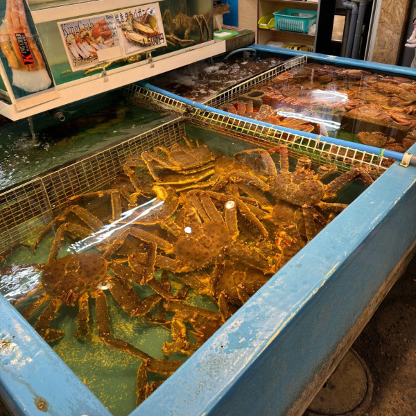 北海道自由行不開車也輕鬆玩！15大景點/交通/美食/手信/住宿攻略 