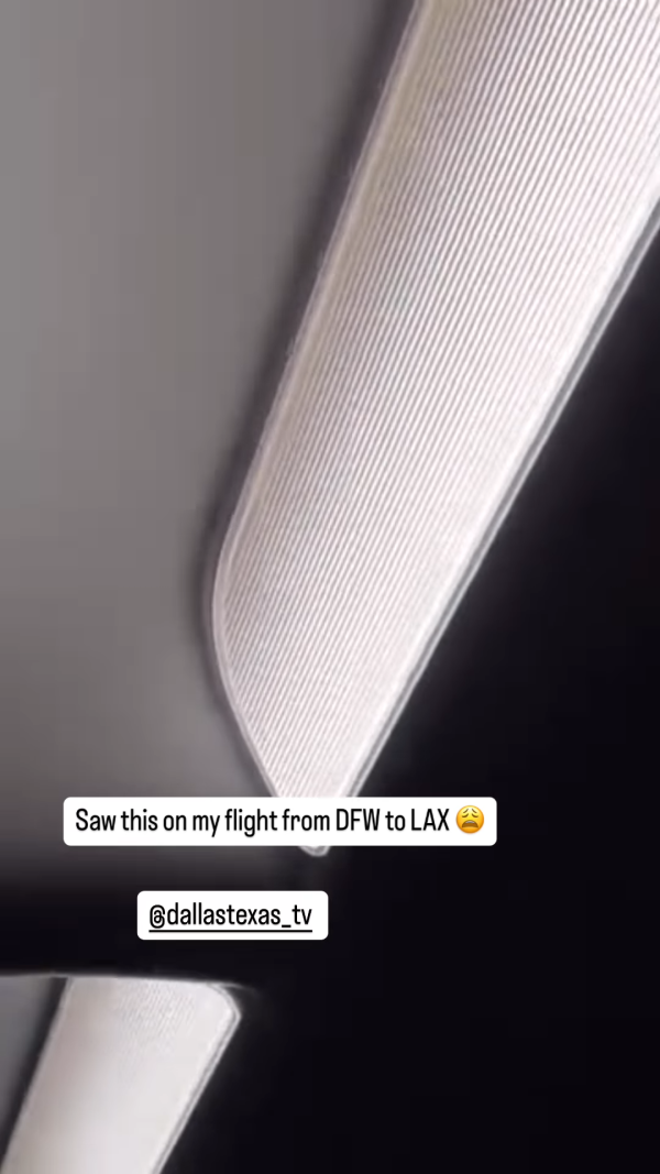 搭飛機驚見頭頂「有爪異形」橫行！網民估計係呢隻野生動物 