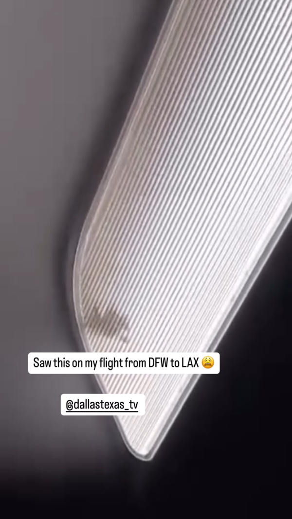 搭飛機驚見頭頂「有爪異形」橫行！網民估計係呢隻野生動物 