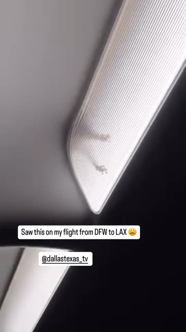 搭飛機驚見頭頂「有爪異形」橫行！網民估計係呢隻野生動物 