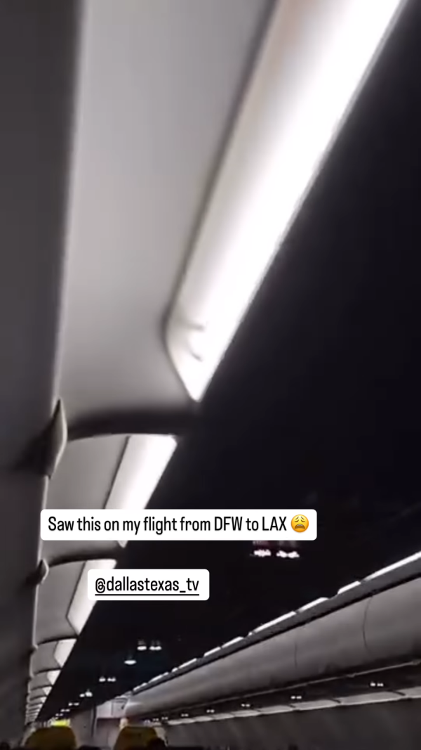 搭飛機驚見頭頂「有爪異形」橫行！網民估計係呢隻野生動物 