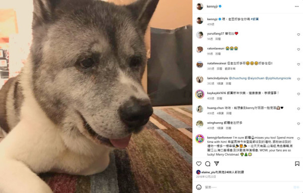 關智斌難忘愛犬：到而家都好掛住佢！憶述凌晨曾收好友求助  半夜忐忑急覓動物醫生 