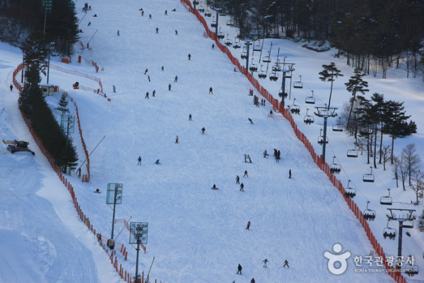 韓國滑雪