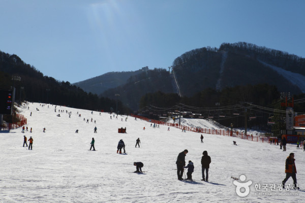 韓國滑雪