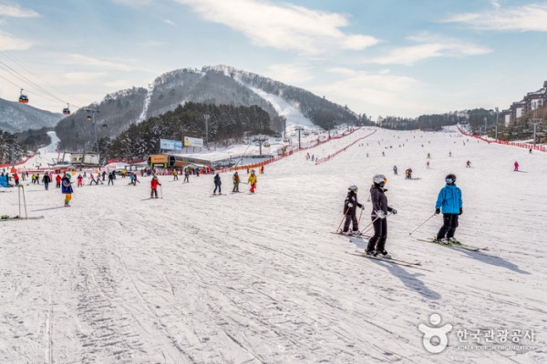 韓國滑雪