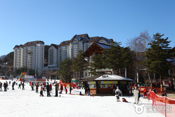 韓國滑雪