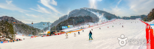 韓國滑雪