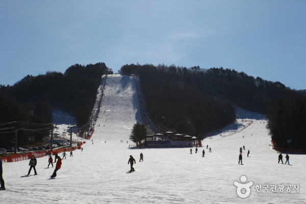 韓國滑雪