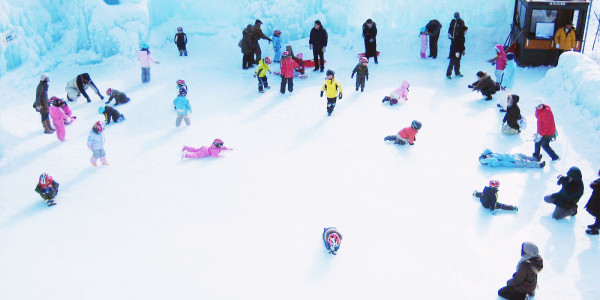 北海道自由行不開車也輕鬆玩！15大景點/交通/美食/手信/住宿攻略 
