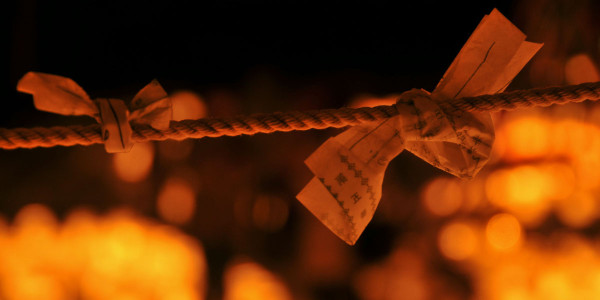 北海道自由行不開車也輕鬆玩！15大景點/交通/美食/手信/住宿攻略 