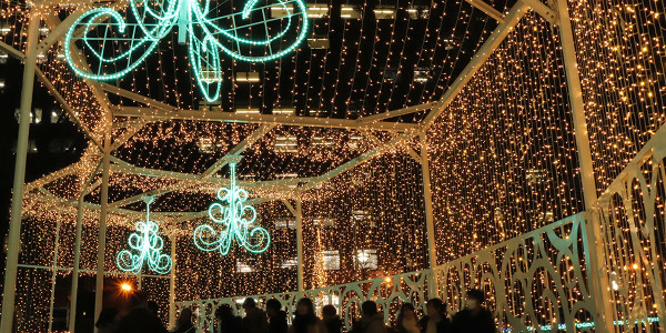 北海道自由行不開車也輕鬆玩！15大景點/交通/美食/手信/住宿攻略 