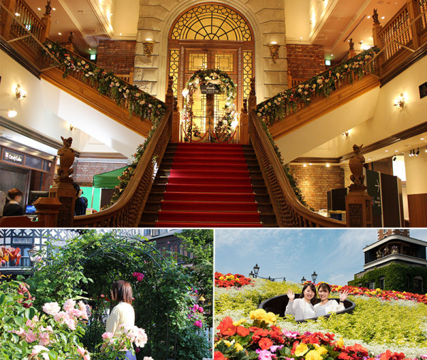 北海道自由行不開車也輕鬆玩！15大景點/交通/美食/手信/住宿攻略 