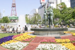 北海道自由行不開車也輕鬆玩！15大景點/交通/美食/手信/住宿攻略 