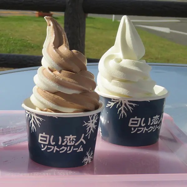 北海道自由行不開車也輕鬆玩！15大景點/交通/美食/手信/住宿攻略 