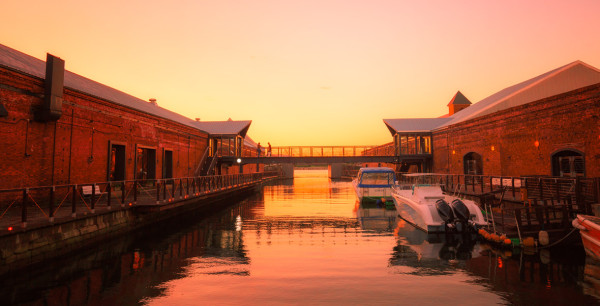 北海道自由行不開車也輕鬆玩！15大景點/交通/美食/手信/住宿攻略 