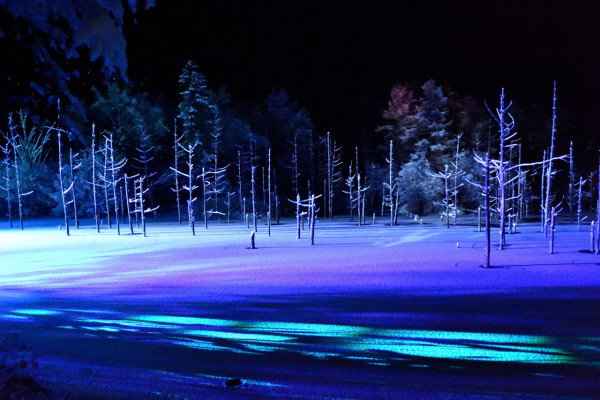 北海道自由行不開車也輕鬆玩！15大景點/交通/美食/手信/住宿攻略 
