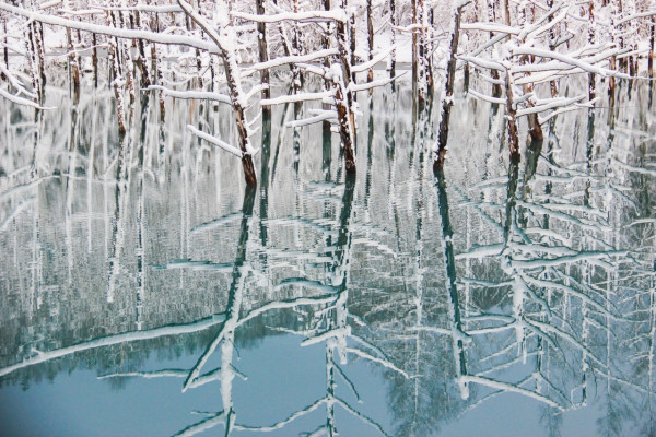 北海道自由行不開車也輕鬆玩！15大景點/交通/美食/手信/住宿攻略 