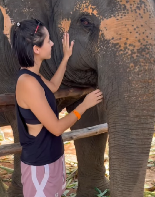前港姐冠軍家族旅行曬健康膚色 竟被誤會騎大象急急澄清