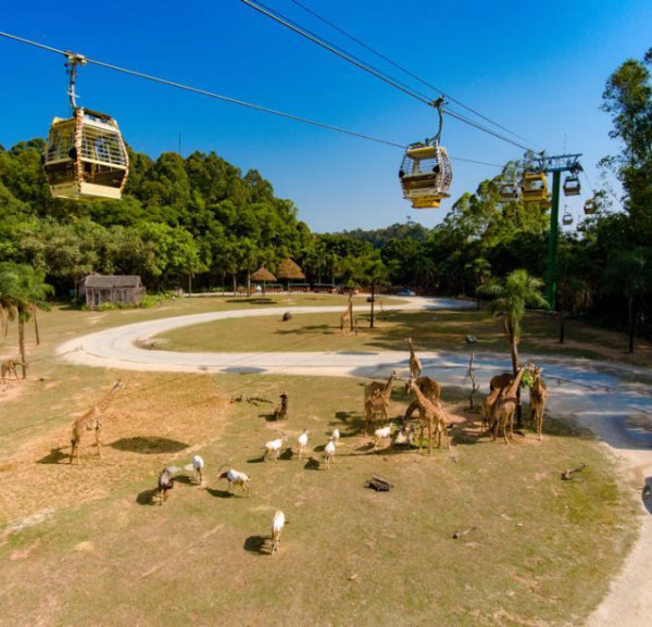 廣州長隆酒店限時優惠 13起入住家庭特色房包3園區門票/聖誕不加價 