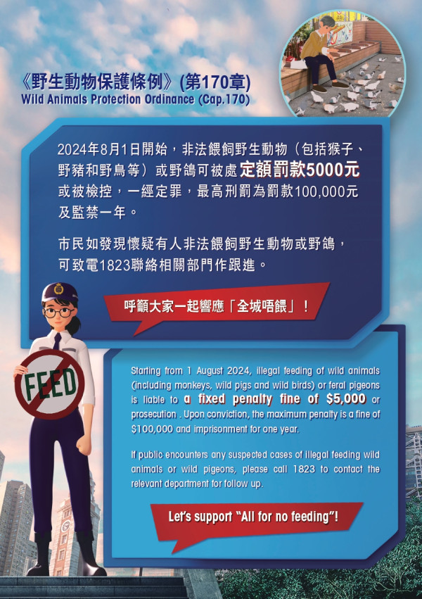 會展海邊驚見20隻老鼠搶食！街坊1個好心舉動養出巨型老鼠竇！網民：好心做壞事