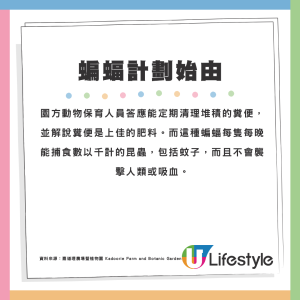 本地農場販售加工蝙蝠糞便變「福土」每月到訪棲地採集大有用途？
