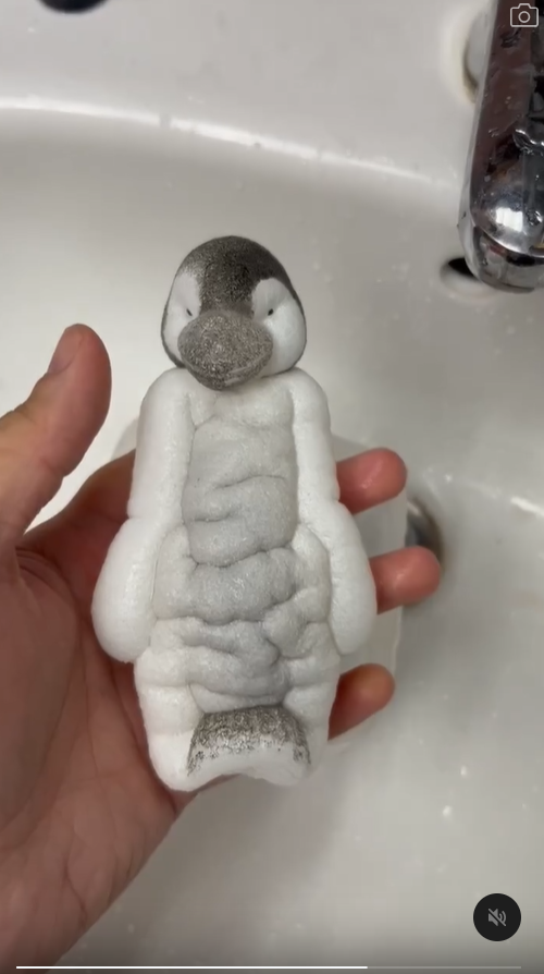 網民東京水族館買企鵝蛋 苦等72小時孵化成果惹爆笑：患了便秘 