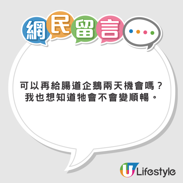 網民東京水族館買企鵝蛋 苦等72小時孵化成果惹爆笑：患了便秘 
