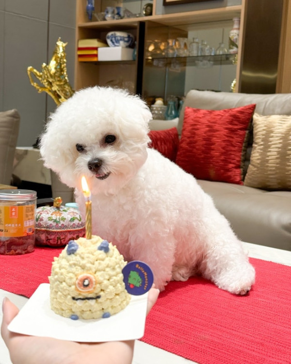 TVB小花陳懿德豪宅意外曝光！高樓底巨廳搞派對慶祝愛犬生日 