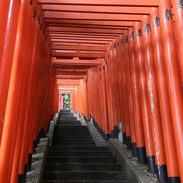 東京神社推薦 日枝神社（圖片來源：Facebook@日枝神社）