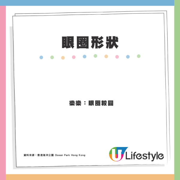 海洋公園2大熊貓辨認方法！眼圈、背心形狀各不同：安安披斗篷