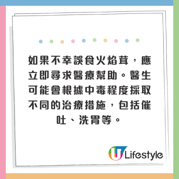 東京多處驚現毒菇火焰茸!觸碰都出事!誤食3克足以致命